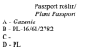Paszport Gazania.png