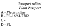 Paszport Plektrantus.png