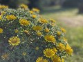 IMG_0763.jpg