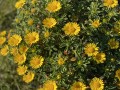 IMG_0766.jpg