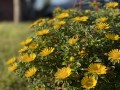 IMG_0769.jpg