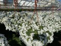 IMG_8170.JPG
