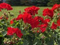 IMG_4889.jpg