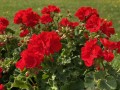 IMG_4874 2.jpg