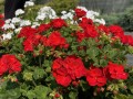 IMG_4873 2.jpg