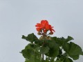 IMG_4020.JPG